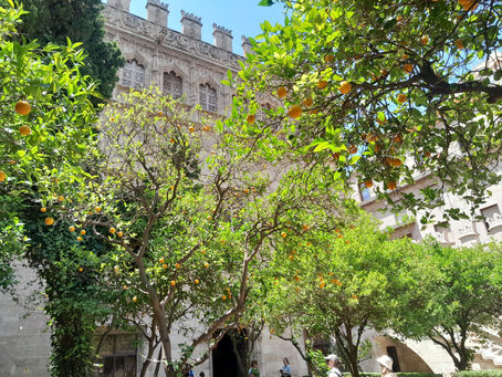 Orange trees filled with ripe fruit in a cobblestone courtyard in front of the carved stone facade of La Lonja de la Seda in Valencia.