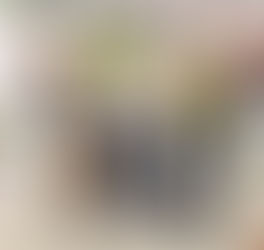 時論-別吵廢死 管管格鬥電玩