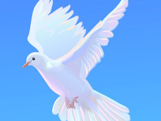 政治政策 政府責任