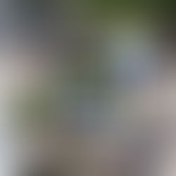 員警掃垃圾 墾丁大街的悲哀