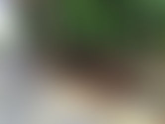 清樹議題 蘇煥智臉書再批賴清德