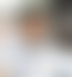 觀察站/林佳龍政績 影響洪蔡選情