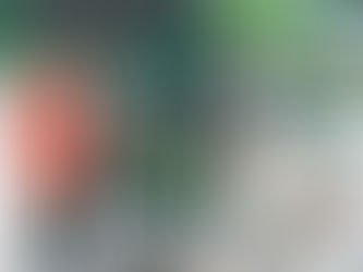 台灣第1台鋰、氫汽車 成大亮相