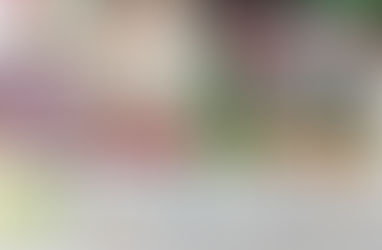 小英愛將 遭控「當選議員就甩女友」