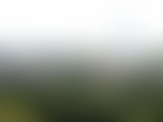 廠長:完好封存核四 核電選項留給下一代