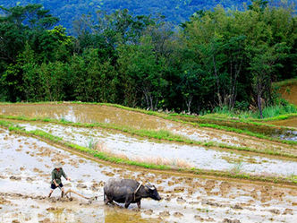 土地政策  政府 環境共同責任
