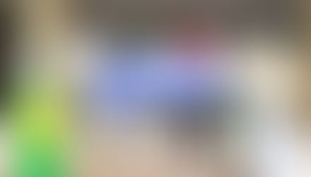 中科擴廠 藍議員諷林佳龍「砍樹市長」