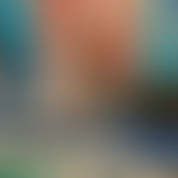 黃智賢:民進黨是地表最可恥政黨