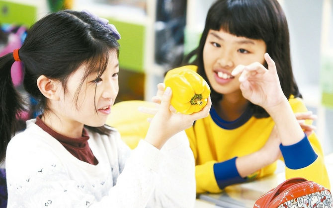 資源難整合…台灣食育萌芽 單打獨鬥難以開花