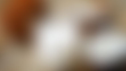 Comment fabriquer son lait de coco maison ?