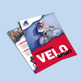 Flyer NDVS