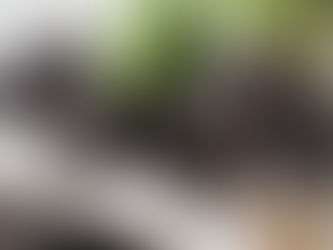 Les bienfaits du radis noir sur le système digestif