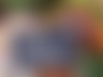 Comment faire le plein de magnésium dans votre assiette ?