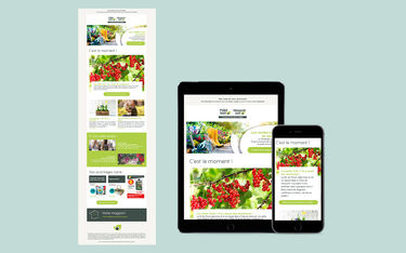 Newsletter PointVert