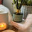Thumbnail: Burley Reed Diffuser