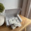Thumbnail: Lymington Botanical Wax Melts