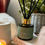 Thumbnail: Burley Reed Diffuser