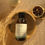 Thumbnail: Refresh Bath and Body Oil