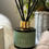 Thumbnail: Burley Reed Diffuser