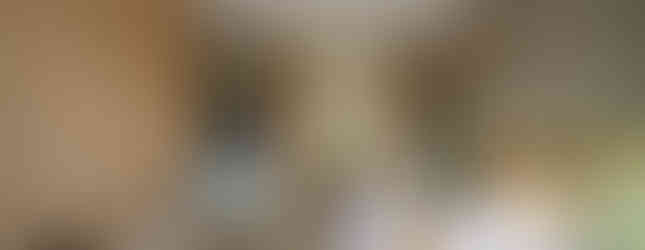 Grand 4-bedroom luxury villa with large garden plot and modern contemporary design at Ascent by Baan Pattaya.