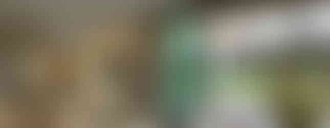 Grand 4-bedroom luxury villa with large garden plot and modern contemporary design at Ascent by Baan Pattaya.