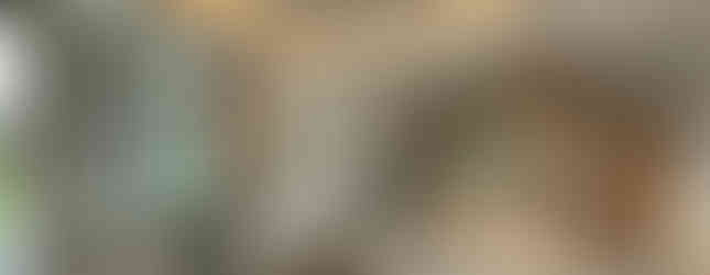 Grand 4-bedroom luxury villa with large garden plot and modern contemporary design at Ascent by Baan Pattaya.