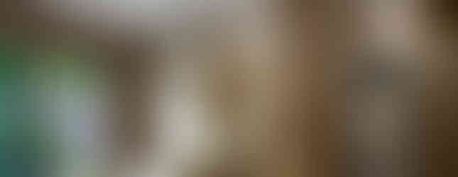 Grand 4-bedroom luxury villa with large garden plot and modern contemporary design at Ascent by Baan Pattaya.