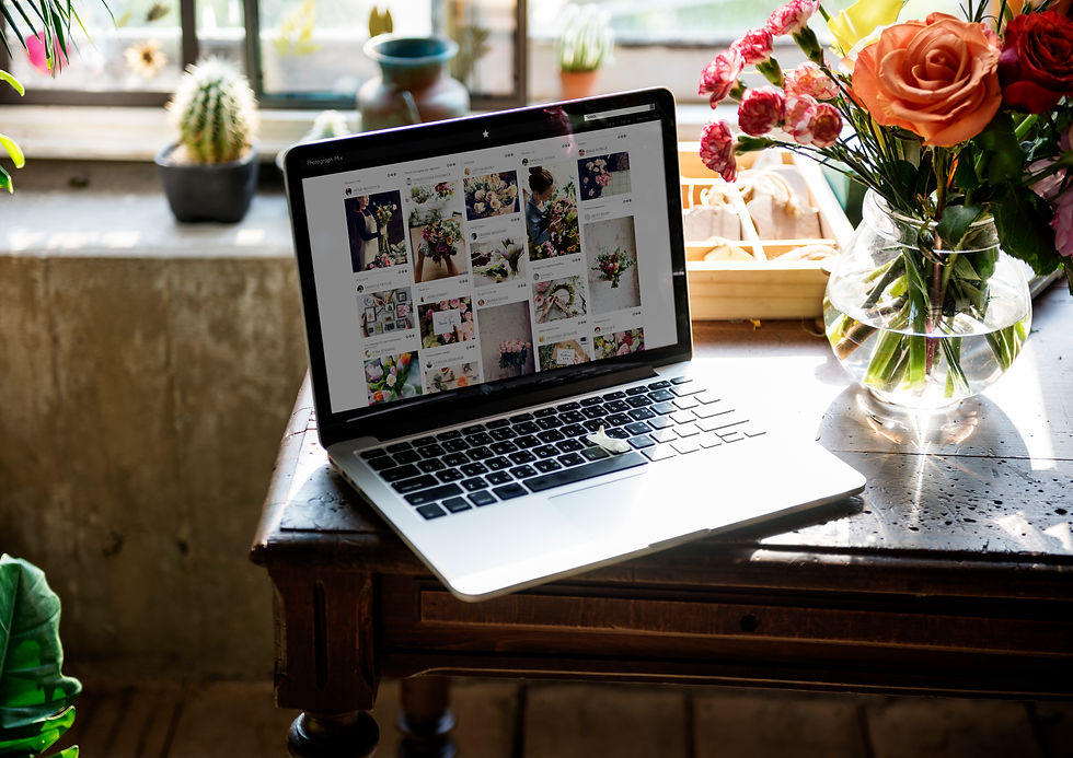 Website Design for small businesses |Hire a Website Designer Developer | Robb Nieves Design Co.