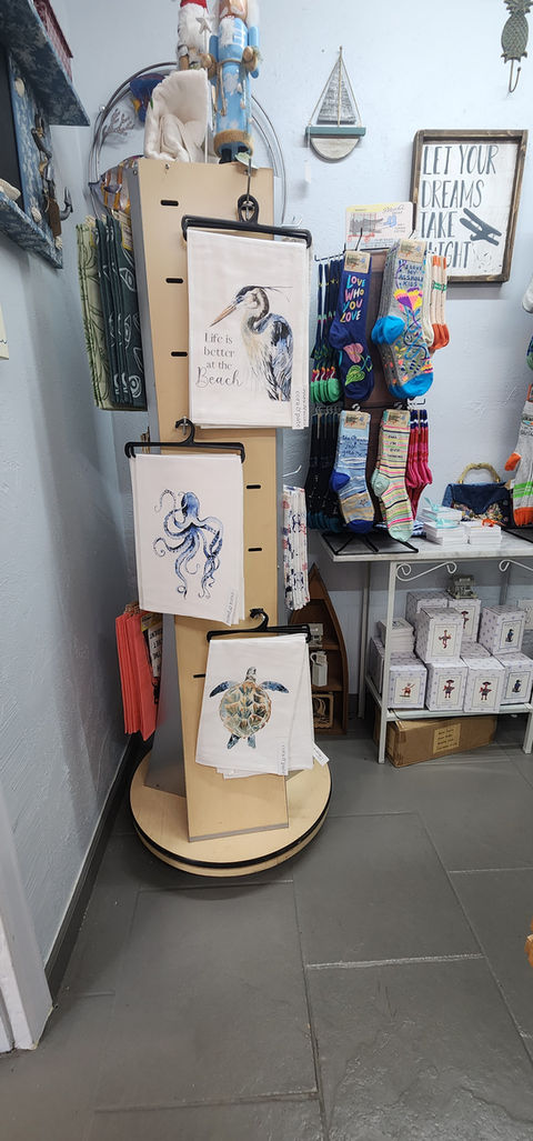 thrifty | Hidden Gems | Budget-friendly | Bradenton FL
