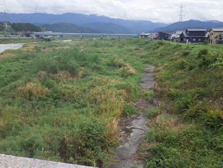 片貝川クマ対策草刈作業