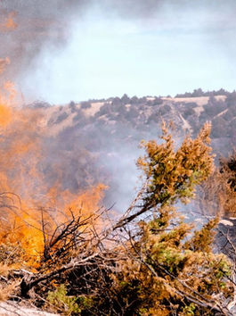 LARGE-SCALE ÎLE-DE-FRANCE’S FONTAINEBLEAU FOREST FIRE CONTAINMENT EFFORTS EXPECTED TO LAST SEVERAL DAYS; RESIDENTS SHOULD FOLLOW OFFICIAL UPDATES AND AVOID AT-RISK AREAS