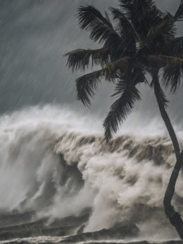 HURRICANE POLO CAUSES FATAL FLOODING IN JALISCO, MEXICO, AND THREATENS NORTHWESTERN PACIFIC COAST, STRAINING EMERGENCY MANAGEMENT AND SECURITY RESOURCES