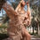 Thumbnail: Ruffle dream Ibiza