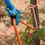 Thumbnail: Down Rigger
