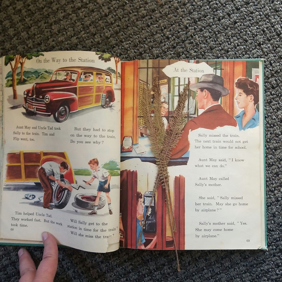 Miniatura: Stories About Sally  (1949) by Eleanor Thomas, Classic Book