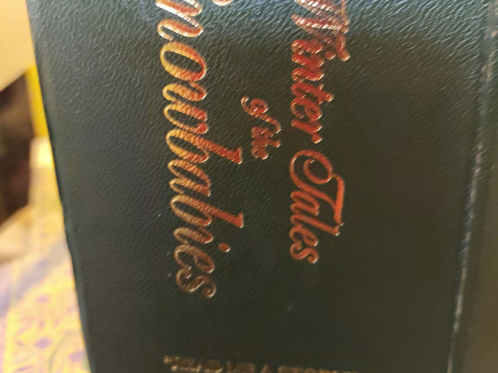 Thumbnail: Winter Tales of the Snowbabies "Read Me A Story"  