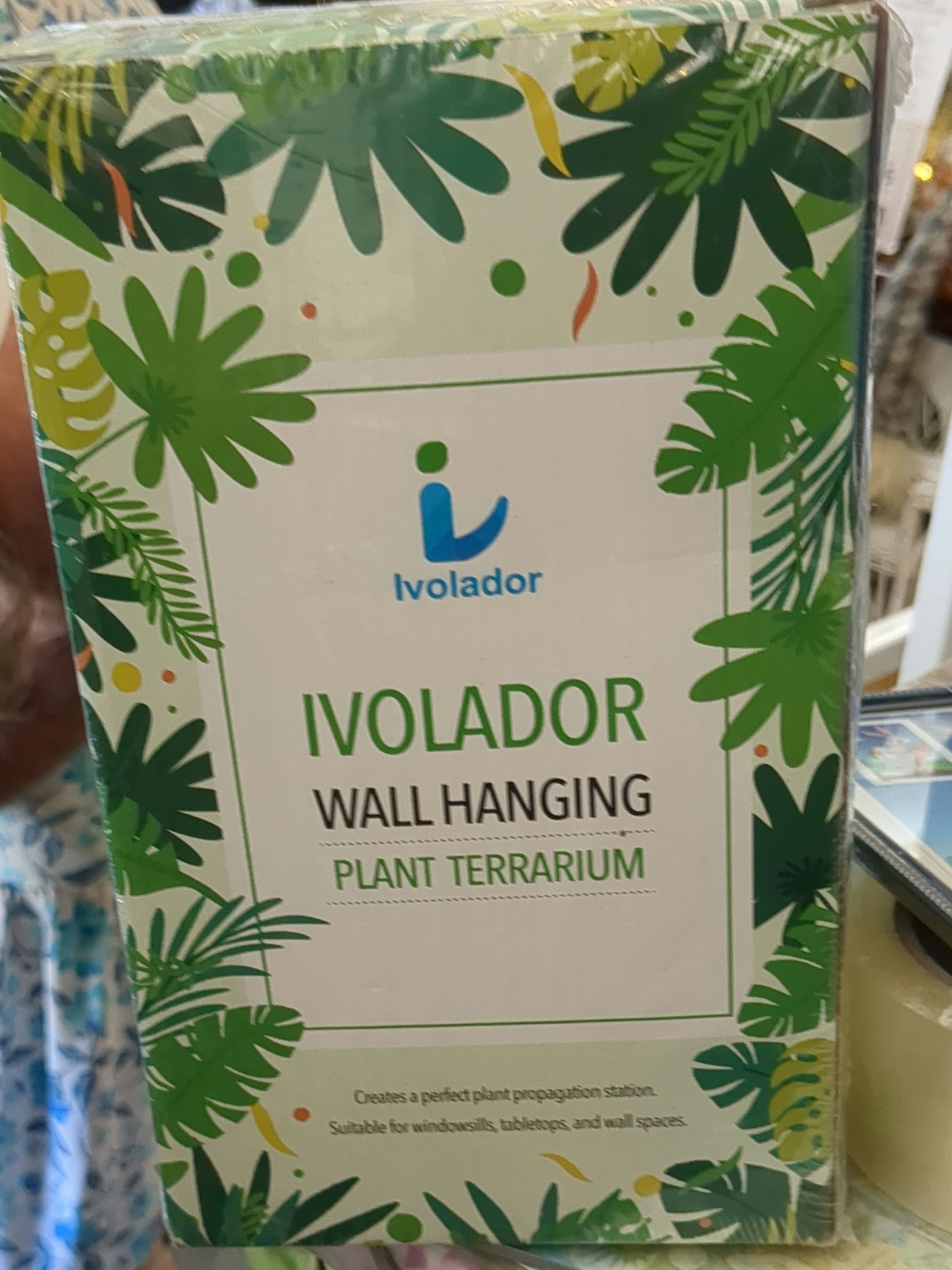 Ivolador Modern Wall Hanging Plant Terrarium - Clear Glass & Natural Wood