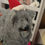 Thumbnail: Fluffy Felted Dog Ornament with a String of Deco Lights and Santa Hat
