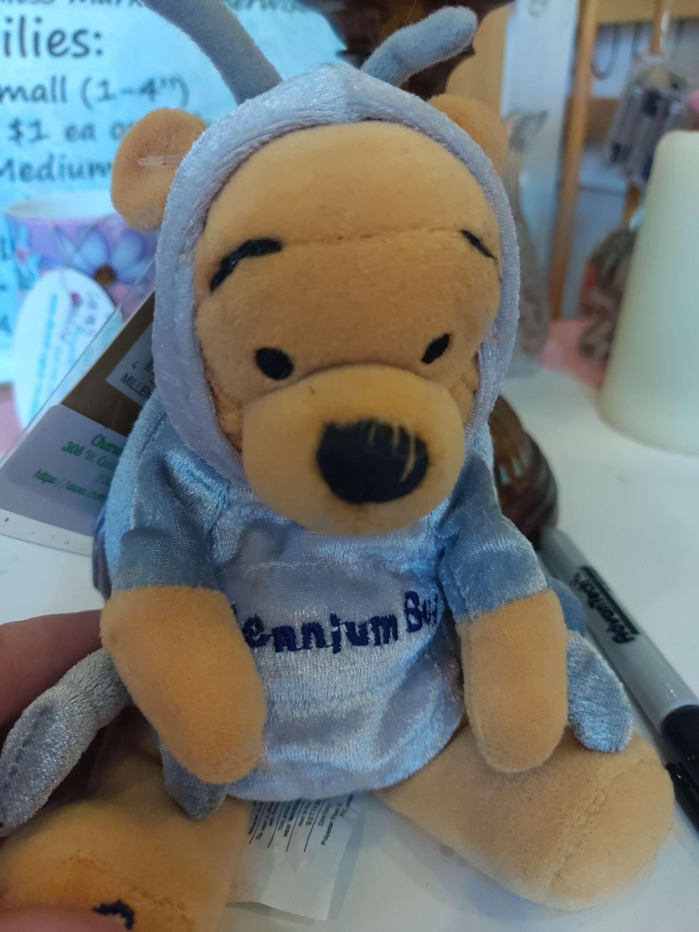 "Millennium Bug" Winnie the Pooh 7" plush NWT