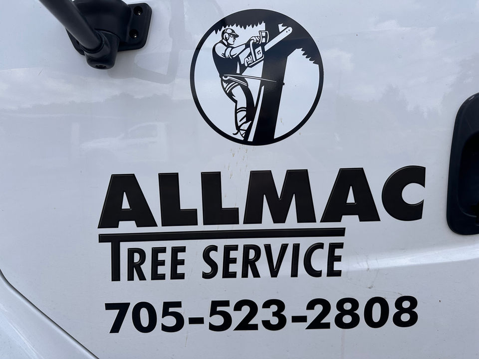 logo with phone number