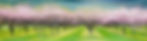 ©Andrea_Sirois_2017_Moving Landscapes-02.jpg