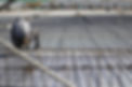 Construction Site_edited.jpg