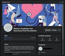 Facebook Fundraiser.JPG