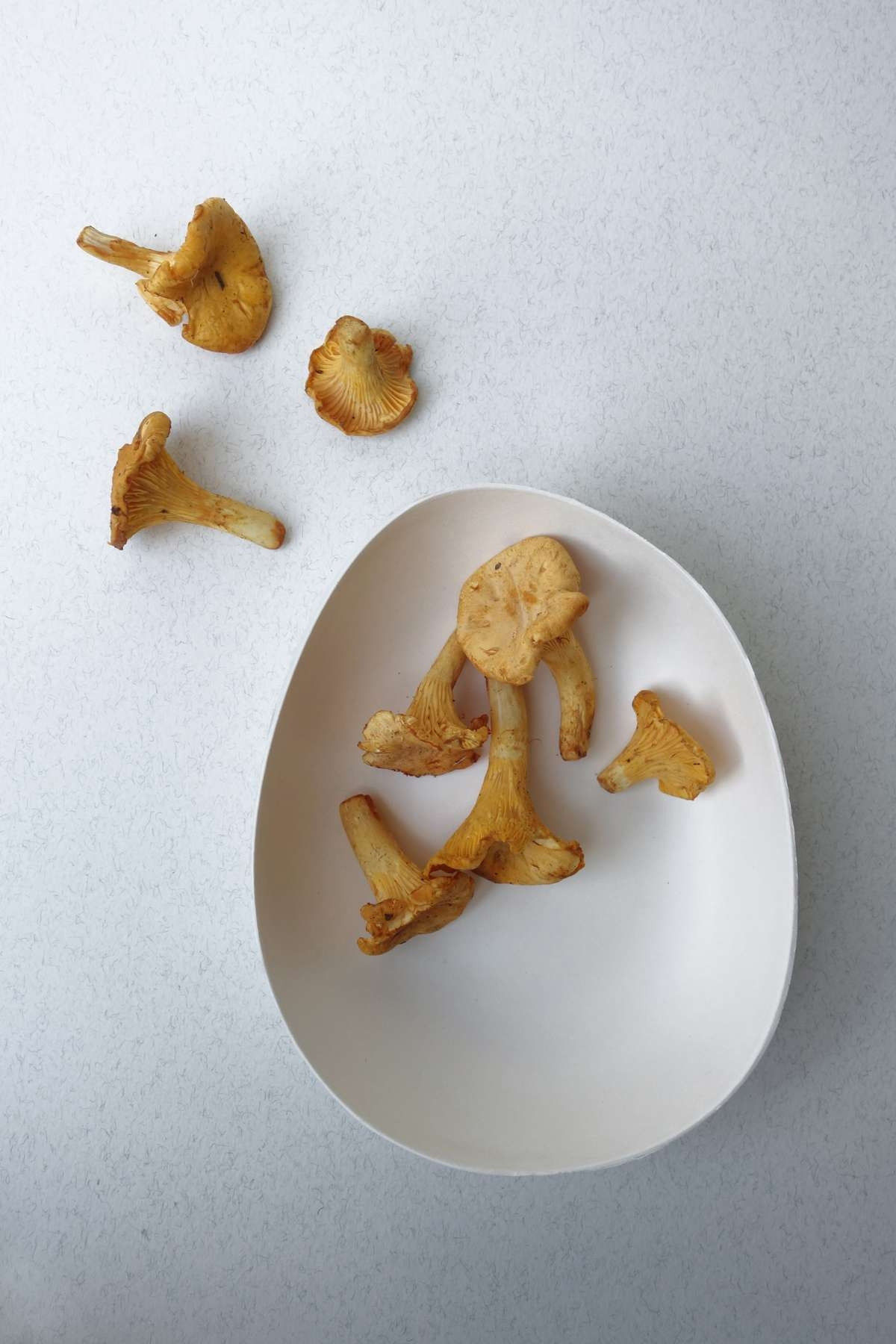 Bagastro Organic Dished Snack Plate