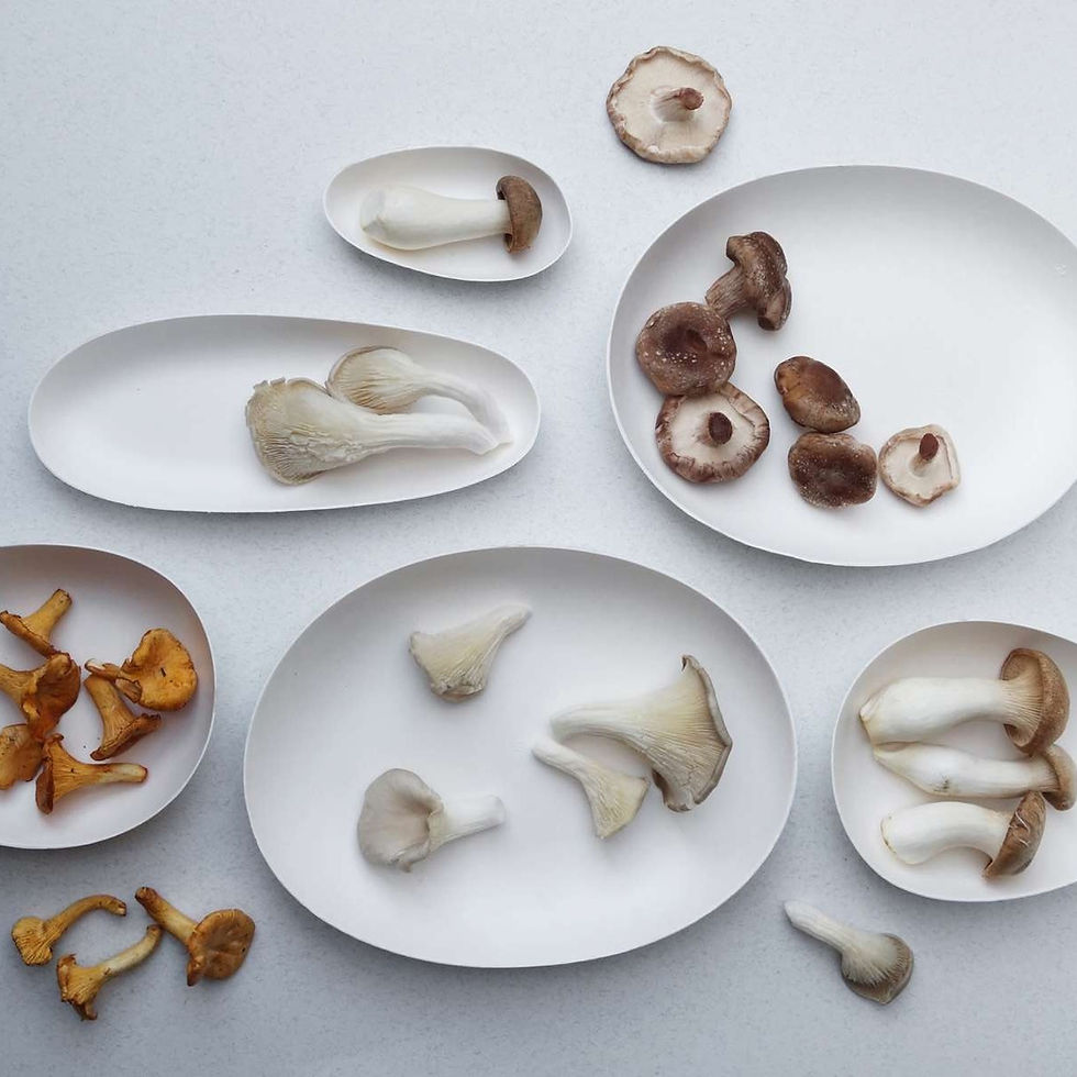 Thumbnail: Bagastro Organic Narrow Snack Plate 40pk