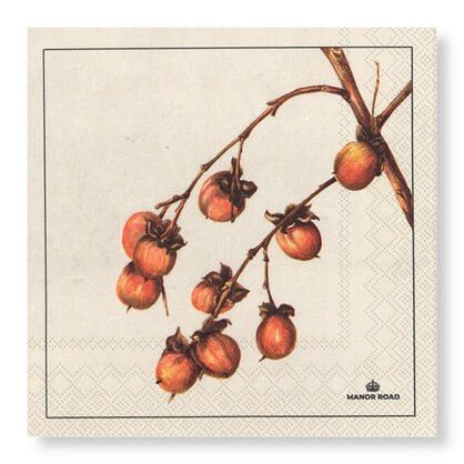 Manor Road Persimmon Napkins - Cocktail