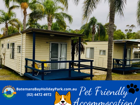 Pet Friendly Caravan Parks Batemans Bay NSW [Dog Friendly]  