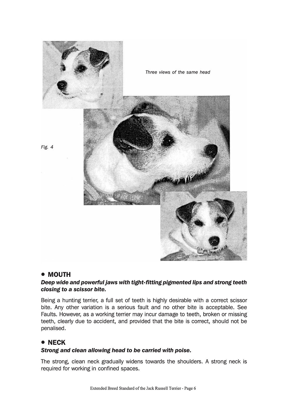liTnni-Extended_Breed_Standard6.jpg