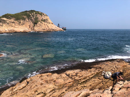 [Mar 2022] Rocky shore biodiversity ECF: the third season done, one more to go!