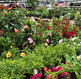 IMG_20260220_054353.heic